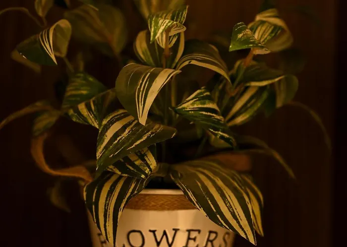 Solessa Urban Collection 아파트